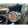 2021 TOYOTA TACOMA 5TFAZ5CN2MX110236 55895286