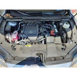 2024 LEXUS RX350 2T2BAMBA6RC048135 59214656