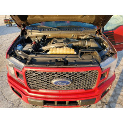 2020 FORD F150 1FTEW1E44LFC02959 41786156