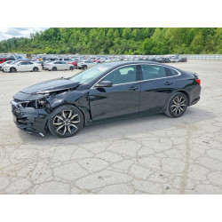 2024 CHEVROLET MALIBU 1G1ZG5ST8RF246353 52358076
