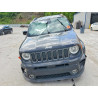 2020 JEEP RENEGADE ZACNJBBB4LPL69307 54296546