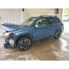 2025 SUBARU FORESTER JF2SLDRC6SH429363 54635226