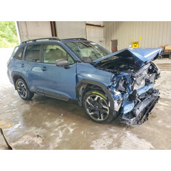 2025 SUBARU FORESTER JF2SLDRC6SH429363 54635226