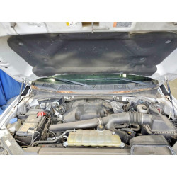 2020 FORD F150 1FTFX1E42LFA33669 57618946