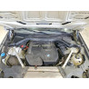 2024 BMW X3 5UX53DP09R9V49682 57638886
