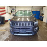 2020 JEEP COMPASS 3C4NJDCB0LT111713 53457356