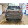 2020 JEEP COMPASS 3C4NJDCB0LT111713 53457356