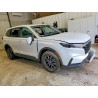 2026 HONDA CRV 2HKRS4H70TH461765 54135176