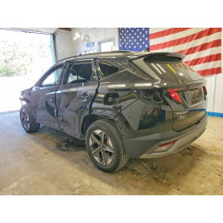 2025 HYUNDAI TUCSON 5NMJBCDE6SH518297 54184286