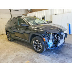 2025 HYUNDAI TUCSON 5NMJBCDE6SH518297 54184286