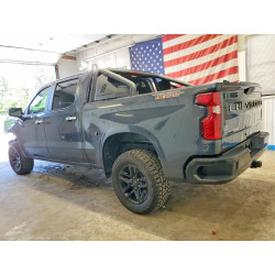 2020 CHEVROLET SILVERADO 3GCPYCEH8LG390630 55384696