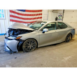 2022 TOYOTA CAMRY 4T1G11BKXNU057513 55991266