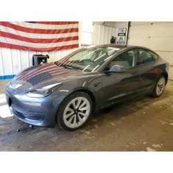 2023 TESLA MODEL 3 5YJ3E1EA8PF643830 56992046