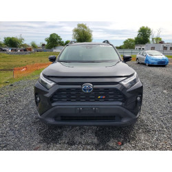 2023 TOYOTA RAV4 2T3UWRFV0PW154527 51192386