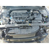 2025 HYUNDAI ELANTRA KMHLM4DG0SU052543 53267156