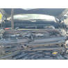 2024 CHEVROLET SILVERADO 1GCRDBEK9RZ148285 53379036