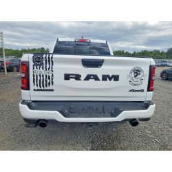 2025 RAM 1500 1C6SRFJP1SN693655 53590336