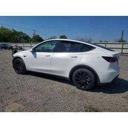 2021 TESLA MODEL  Y 5YJYGAEE3MF136901 53962376