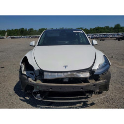 2021 TESLA MODEL  Y 5YJYGAEE3MF136901 53962376