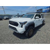 2024 TOYOTA TACOMA 3TYLF5LN9RT005048 53984176