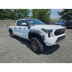 2024 TOYOTA TACOMA 3TYLF5LN9RT005048 53984176