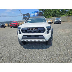 2024 TOYOTA TACOMA 3TYLF5LN9RT005048 53984176