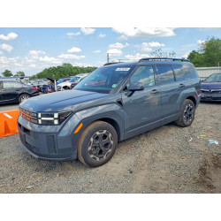 2024 HYUNDAI SANTA FE 5NMP2DGL6RH067389 54073236
