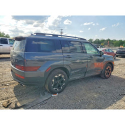 2024 HYUNDAI SANTA FE 5NMP2DGL6RH067389 54073236