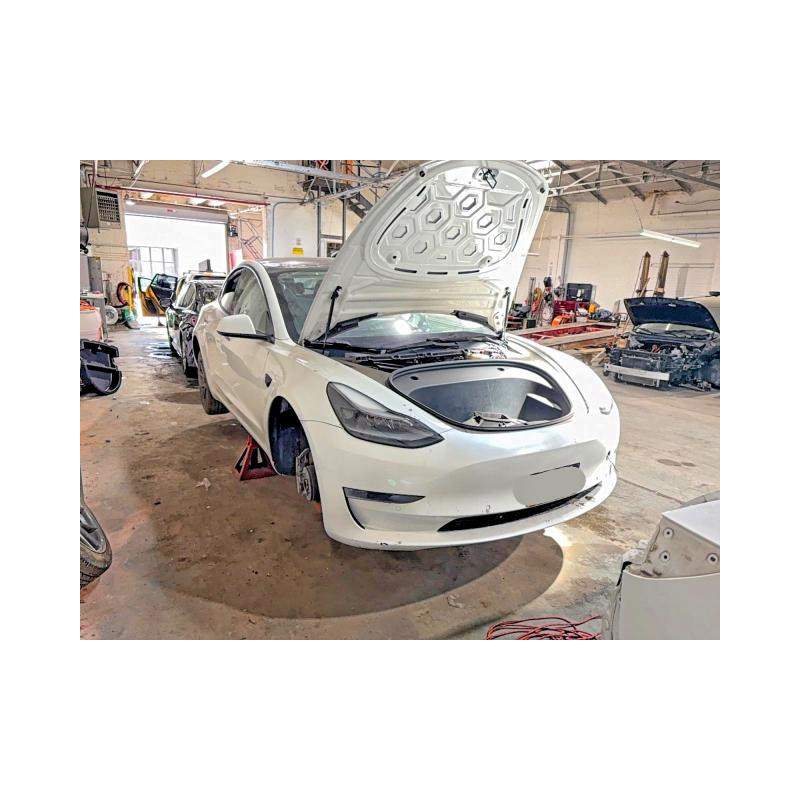 2021 TESLA MODEL 3 5YJ3E1EA0MF026952 54638076