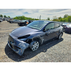 2023 TESLA MODEL Y 7SAYGDEE3PF838905 54819916