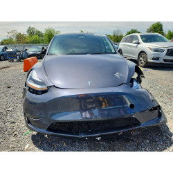 2023 TESLA MODEL Y 7SAYGDEE3PF838905 54819916