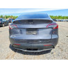 2023 TESLA MODEL Y 7SAYGDEE3PF838905 54819916