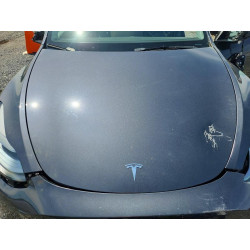 2023 TESLA MODEL Y 7SAYGDEE3PF838905 54819916
