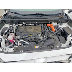 2021 TOYOTA RAV4 JTMAB3FV1MD020775 57583666