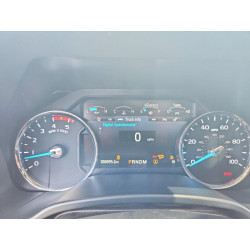 2020 FORD F350 1FT8W3DT8LEE07269 60594016