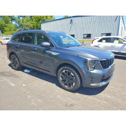 2024 KIA SORENTO 5XYRL4JC3RG286366 60676716