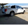 2020 FORD F150 1FTEW1EB8NKE67747 53224476