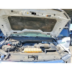 2020 FORD F150 1FTEW1EB8NKE67747 53224476