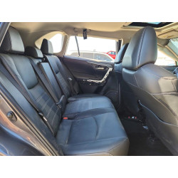 2025 TOYOTA RAV4 2T3C1RFV0SW416212 58230516