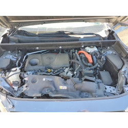 2021 TOYOTA RAV4 JTMD6RFV9MD024707 58273326