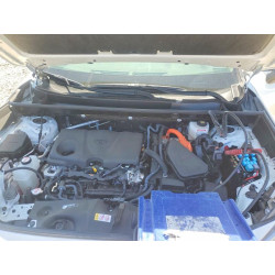2025 TOYOTA RAV4 JTMB6RFV2SD582709 59014156