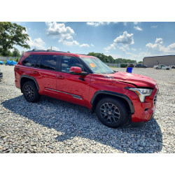 2025 TOYOTA SEQUOIA 7SVAAABA7SX064503 59693046