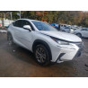 2021 LEXUS NX