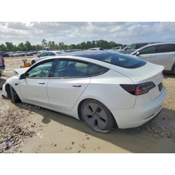 2023 TESLA MODEL 3 5YJ3E1EA8PF546384 57090486