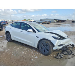 2023 TESLA MODEL 3 5YJ3E1EA8PF546384 57090486