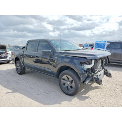 2025 FORD F150 1FTEW2LP8SKE85911 79473985