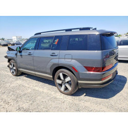 2025 HYUNDAI SANTA FE 5NMP3DG17SH066107 58155906
