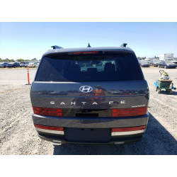 2025 HYUNDAI SANTA FE 5NMP3DG17SH066107 58155906