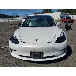 2022 TESLA MODEL 3 5YJ3E1EBXNF316738 55782356
