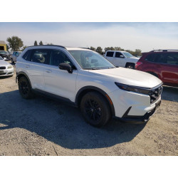 2024 HONDA CRV 2HKRS6H53RH807584 63588156